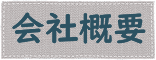 ЊTv